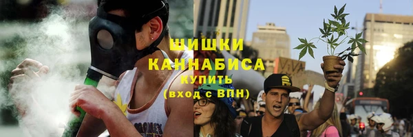 ПСИЛОЦИБИНОВЫЕ ГРИБЫ Белокуриха