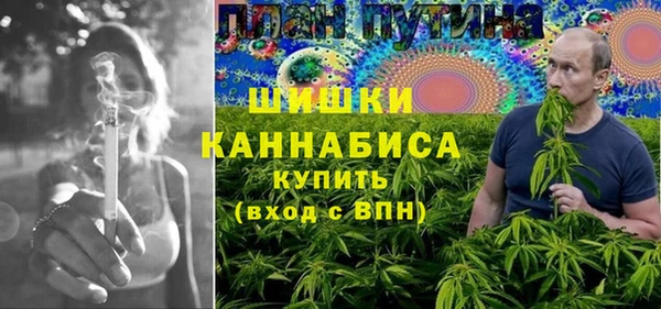 ПСИЛОЦИБИНОВЫЕ ГРИБЫ Белокуриха