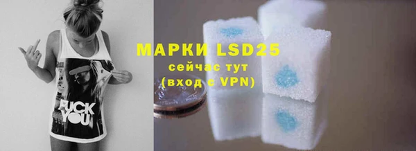 ПСИЛОЦИБИНОВЫЕ ГРИБЫ Белокуриха