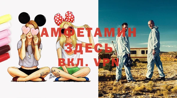 ПСИЛОЦИБИНОВЫЕ ГРИБЫ Белокуриха
