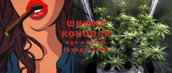 ПСИЛОЦИБИНОВЫЕ ГРИБЫ Белокуриха