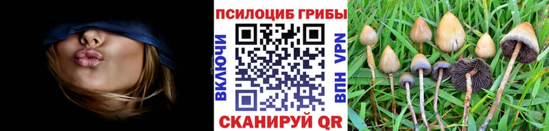 Псилоцибиновые грибы GOLDEN TEACHER Славгород